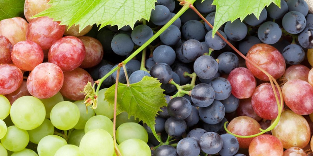 با خواص انگور آشنا شوید