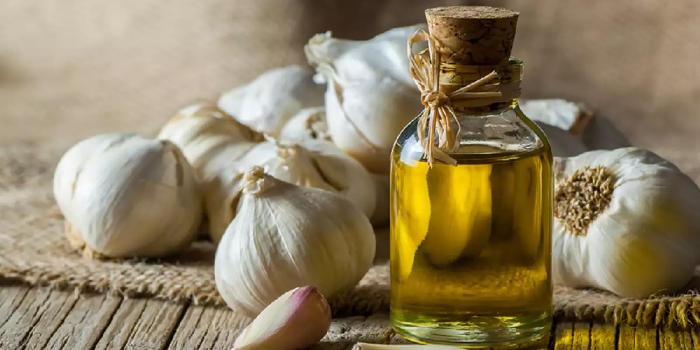 روغن سیر و خواص بی نظیر آن