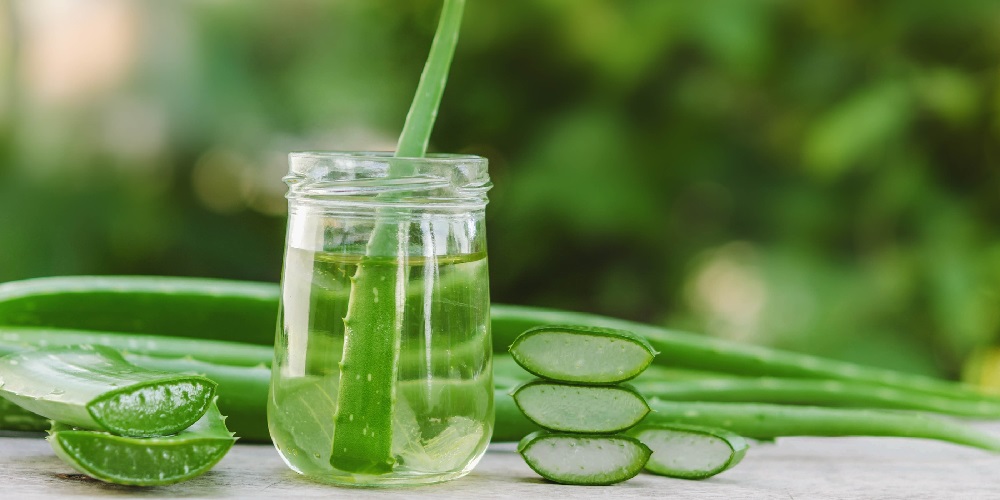 فواید استفاده از ژل آلوئه ورا - ایران فیتنس فواید استفاده از ژل آلوئه ورا