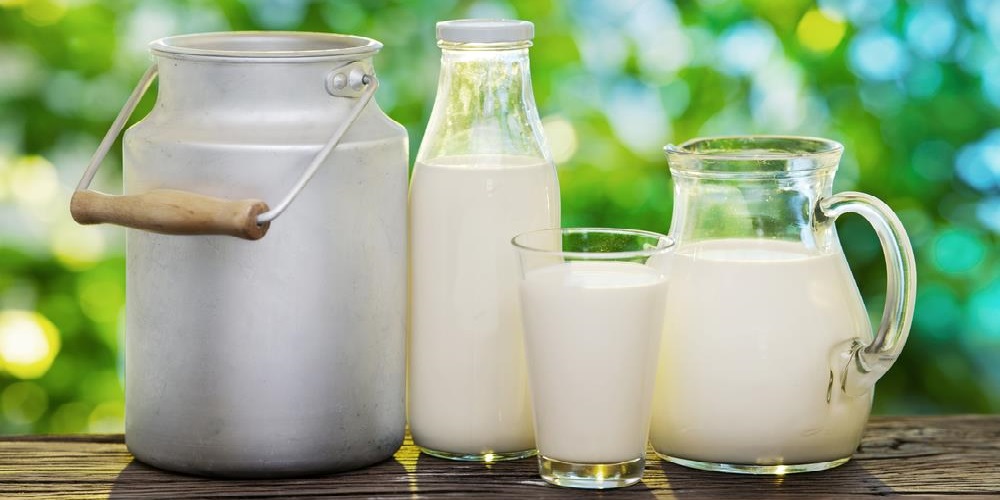 هزار و یک فایده شیر - ایران فیتنس هزار و یک فایده شیر