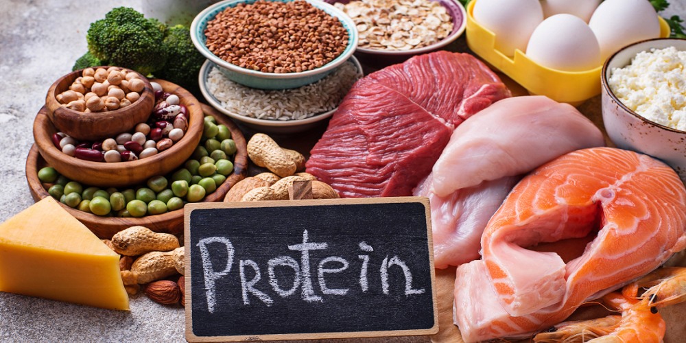 بهترین منابع غذایی حاوی پروتئین را بشناسید