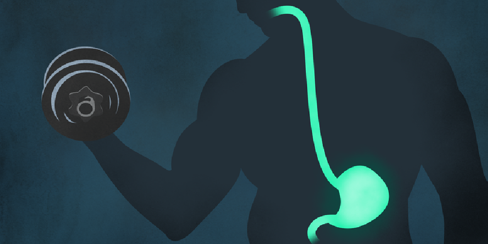 فواید و مضرات ورزش با معده خالی - ایران فیتنس فواید و مضرات ورزش با معده خالی