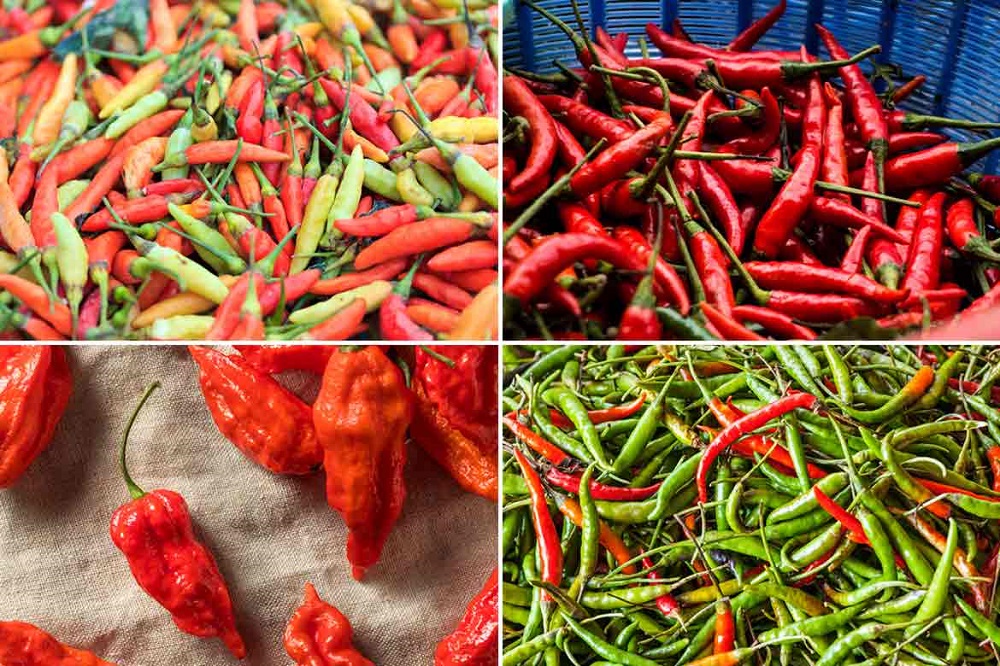 خواص فلفل هندی و مزیت های به کار بردن این نوع فلفل در برنامه غذایی - ایران فیتنس خواص فلفل هندی و مزیت های به کار بردن این نوع فلفل در برنامه غذایی