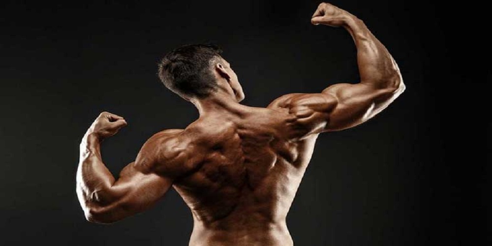 برنامه تمرینی حرفه‌ای برای حجم‌دهی عضلات پشت