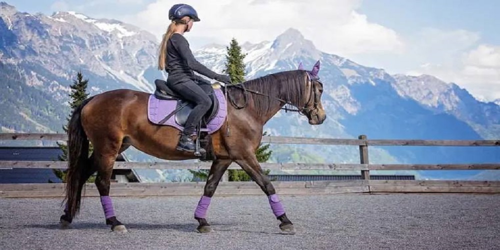 فواید ورزش سوارکاری + آموزش تکنیک‌های مهم اسب سواری