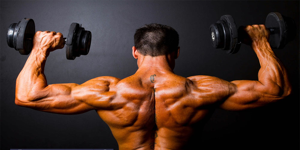 همه چیز درباره سیستم تمرینی جاینت ست - ایران فیتنس همه چیز درباره سیستم تمرینی جاینت ست