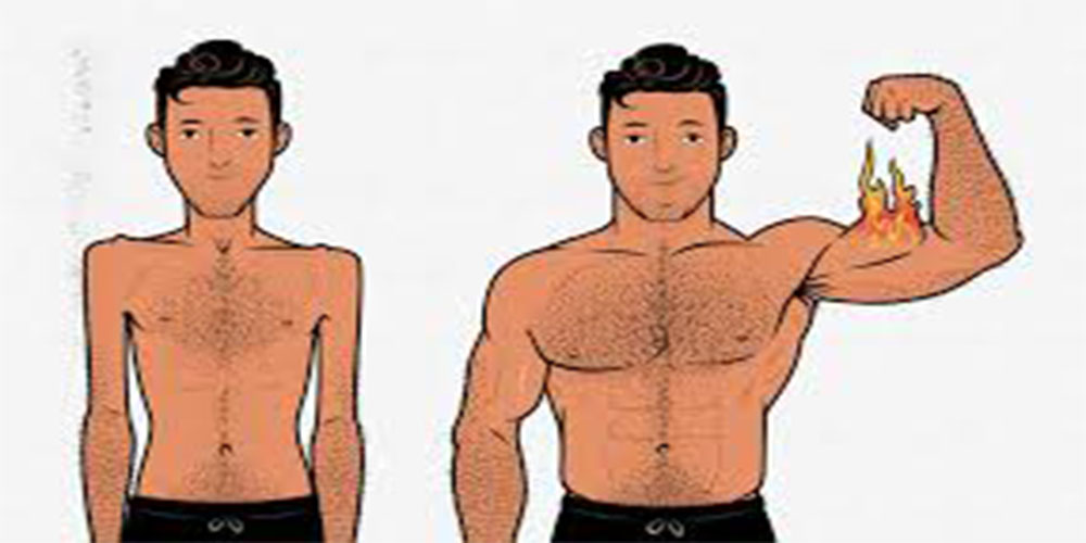 چاق شدن سریع و افزایش وزن افراد لاغر - ایران فیتنس چاق شدن سریع و افزایش وزن افراد لاغر