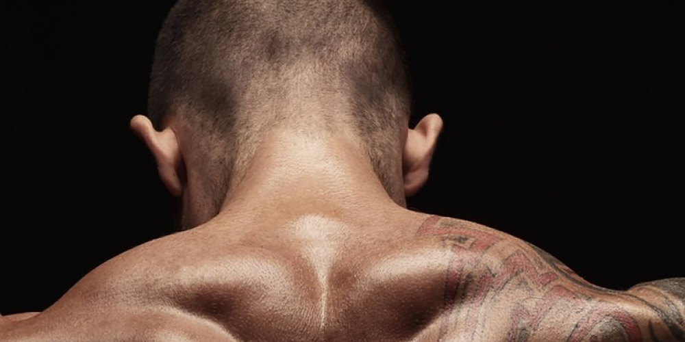 چگونه یک بدن هفتی شکل بسازیم؟ - ایران فیتنس چگونه یک بدن هفتی شکل بسازیم؟