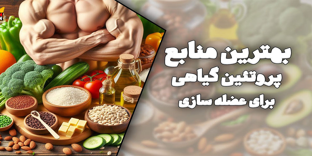 بهترین منابع پروتئین گیاهی برای عضله سازی فوق‌العاده