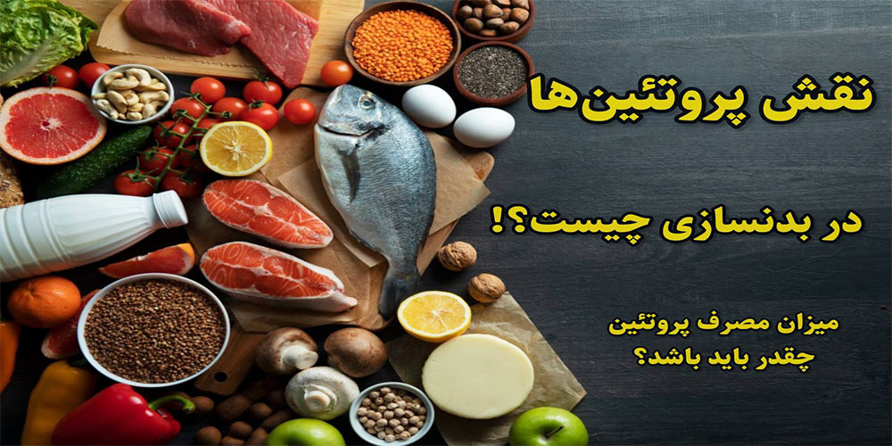 چرا پروتئین برای هر بدنساز حیاتی است؟ - ایران فیتنس چرا پروتئین برای هر بدنساز حیاتی است؟