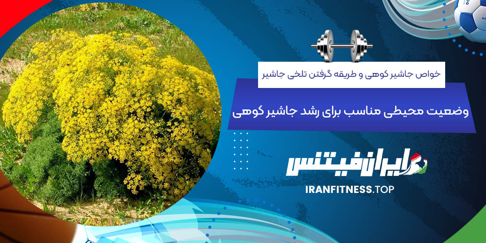 وضعیت محیطی مناسب برای رشد جاشیر کوهی