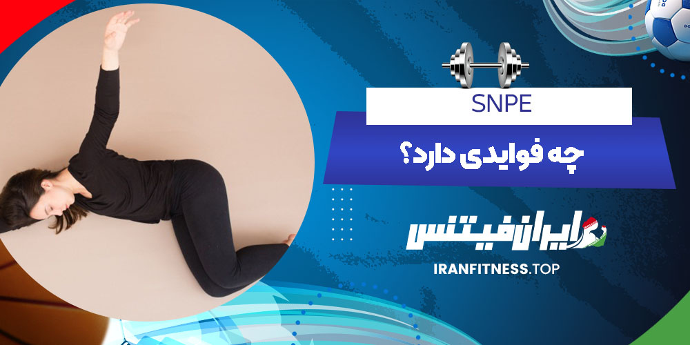 SNPE چه فوایدی دارد؟