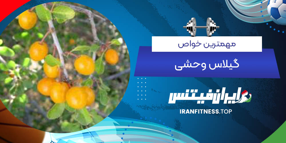 مهمترین خواص گیلاس وحشی