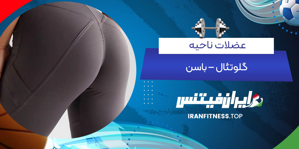 عضلات ناحیه گلوتئال – باسن