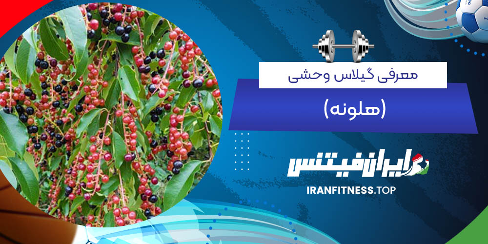 عوارض استفاده زیاد از گیلاس وحشی