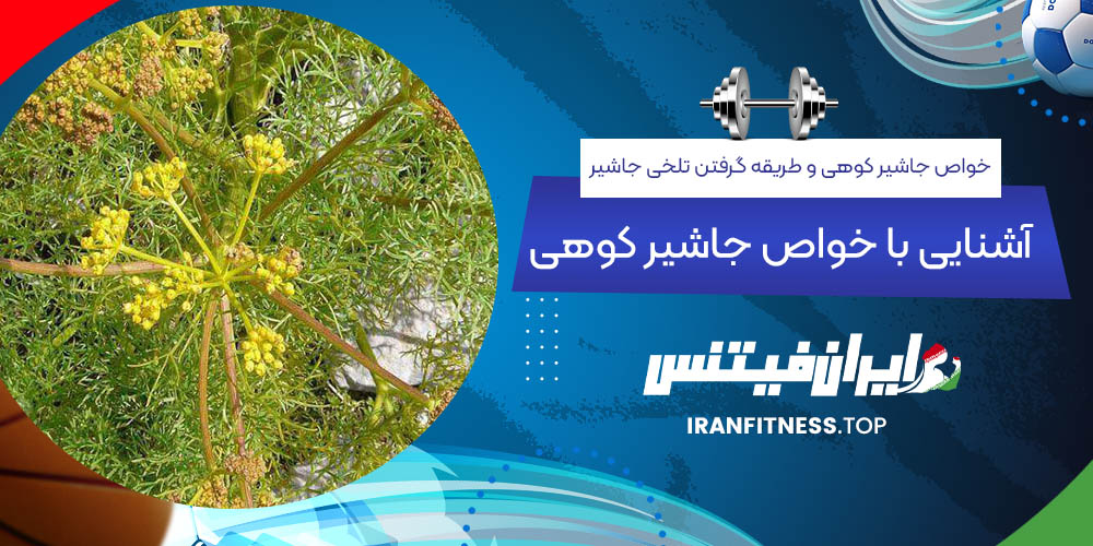 آشنایی با خواص جاشیر کوهی