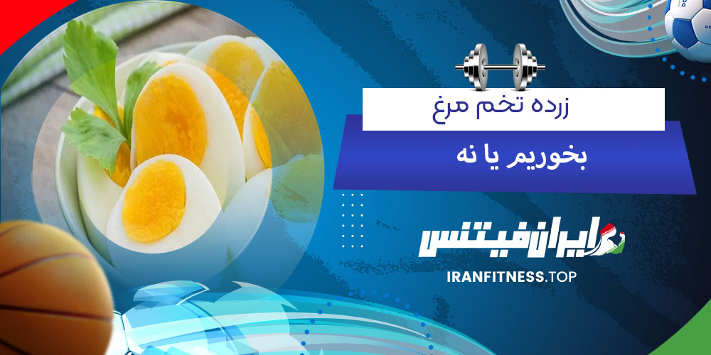 زرده تخم مرغ بخوریم یا نه - فیتینس زرده تخم مرغ بخوریم یا نه