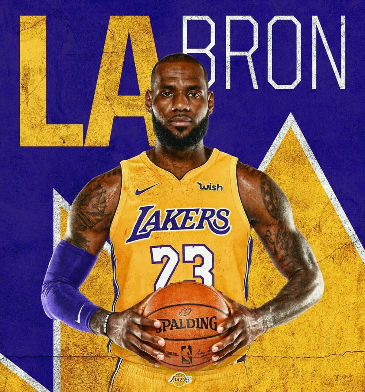 عکس لبرون جیمز- فیتنس عکس لبرون جیمز