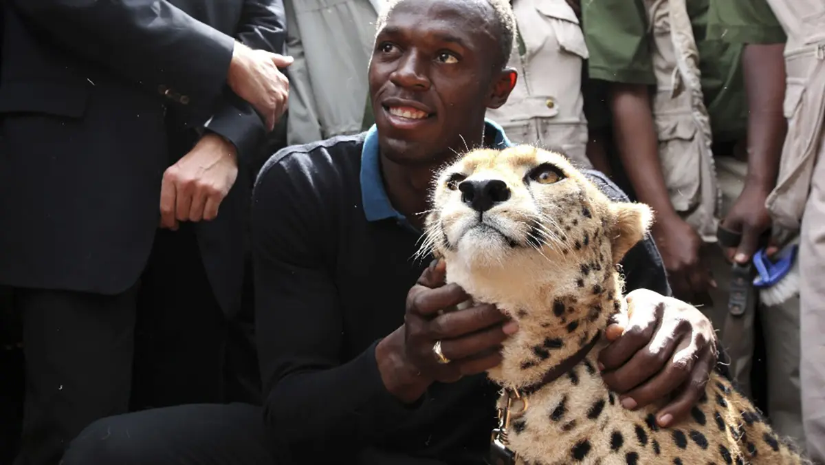 لقب یوسین بولت - فیتنس لقب یوسین بولت