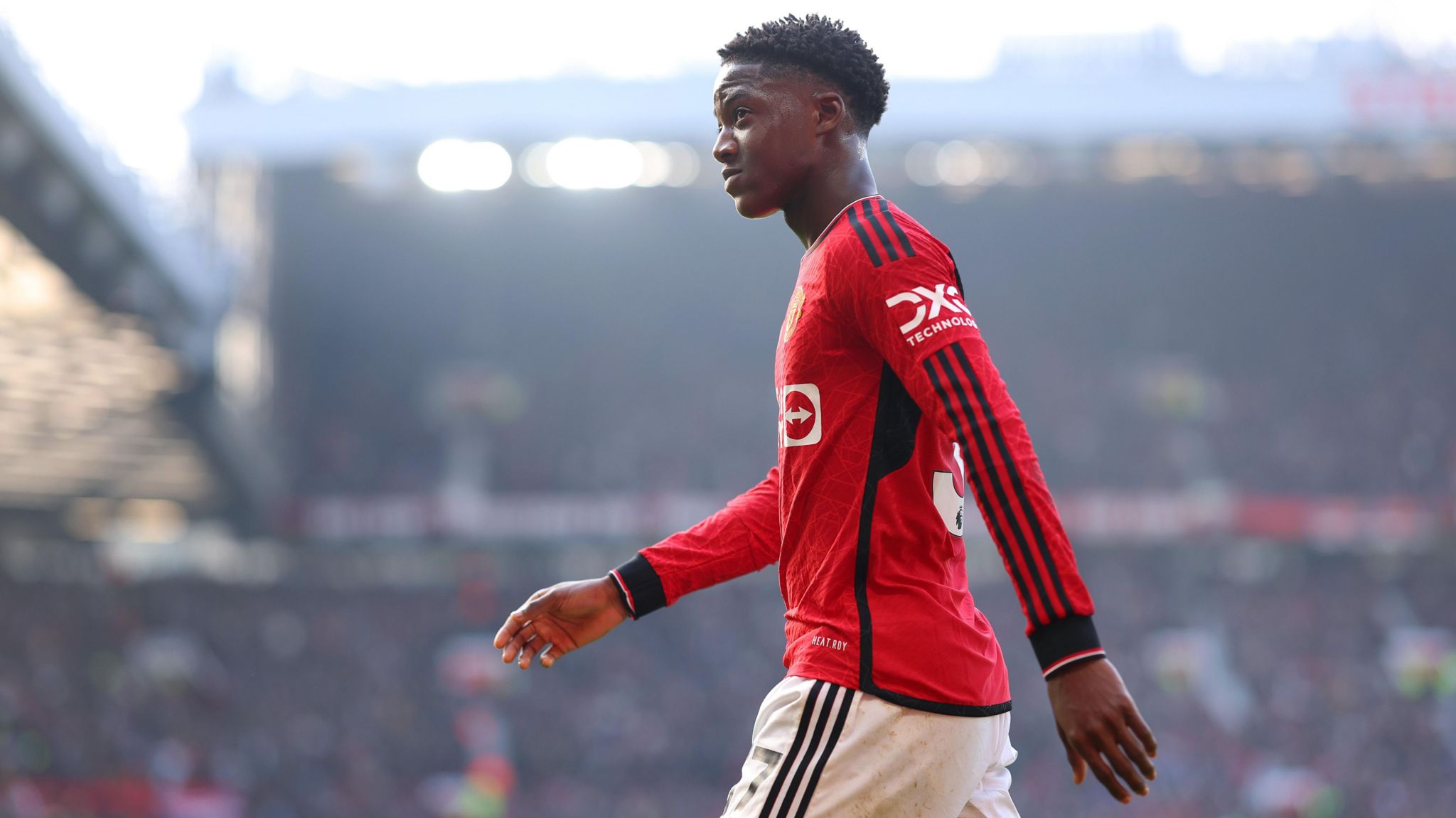 والپیپر کوبی مینو برای کامپیوتر- فیتنس والپیپر کوبی مینو برای کامپیوتر