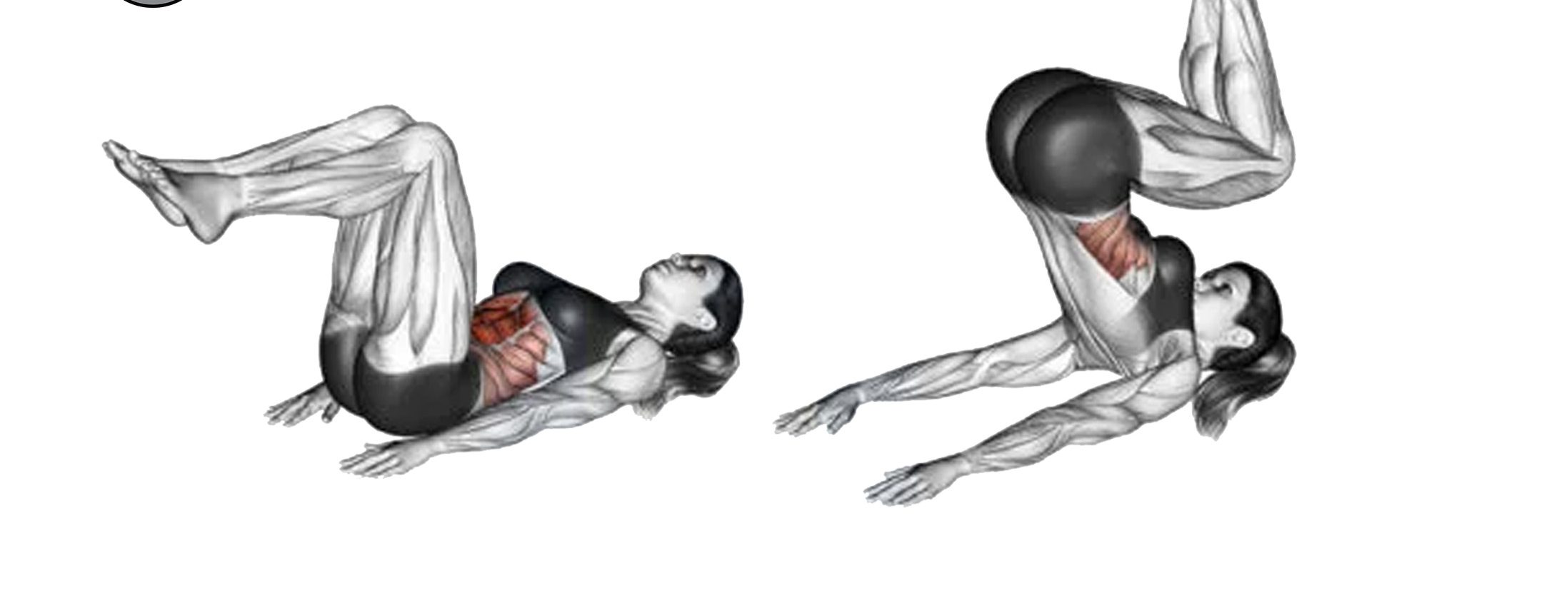 کرانچ برعکس: تمرکز بر زیر شکم