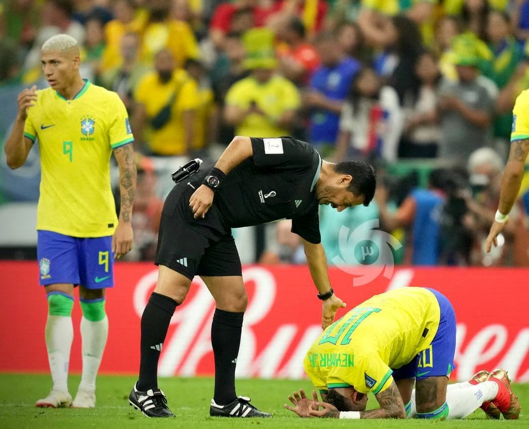 علیرضا فغانی جامهای جهانی - فیتنس علیرضا فغانی جامهای جهانی