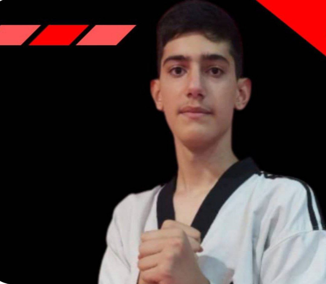 عکس ایلیا شهبازی تکواندو کار - فیتنس عکس ایلیا شهبازی تکواندو کار