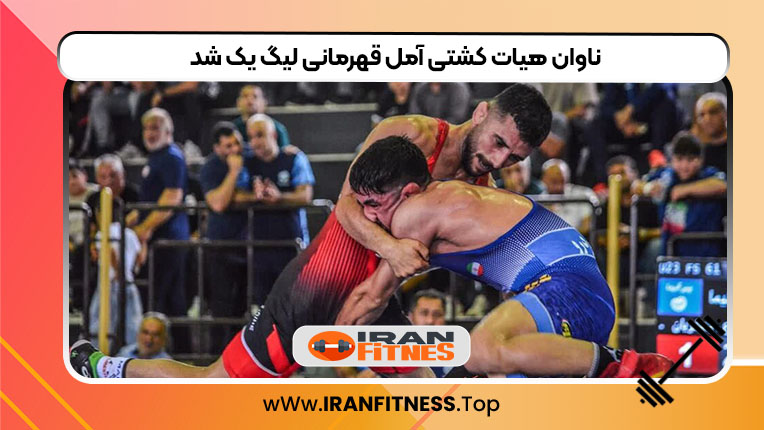 ناوان هیات کشتی آمل قهرمانی لیگ یک شد