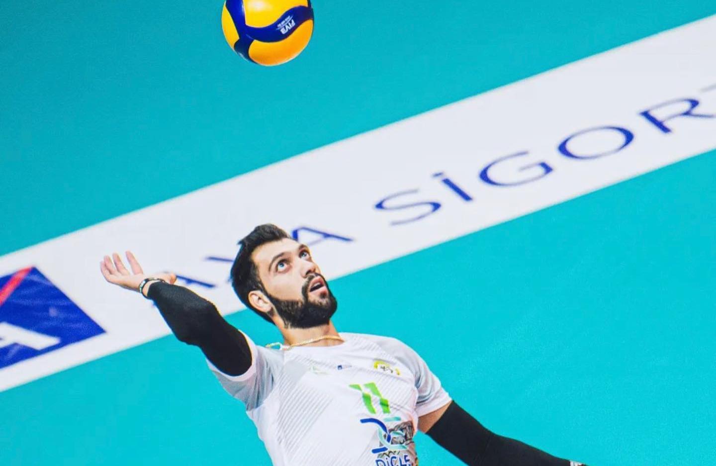 آرمین افشین‌فر و والیبال