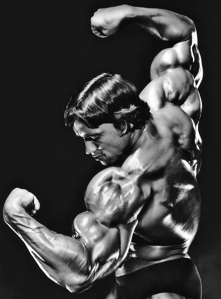 arnold schwarzenegger