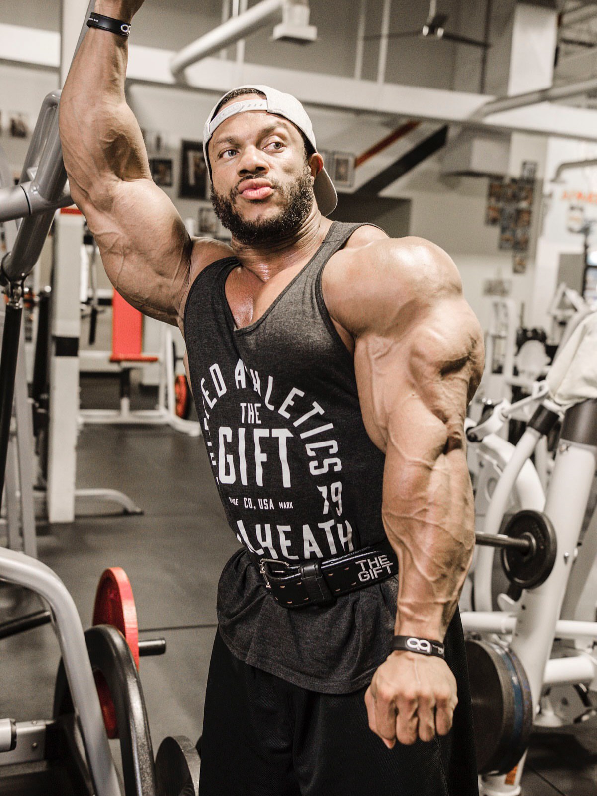 عکس فیل هیث 